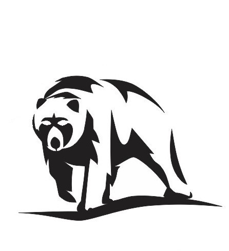 andean bear